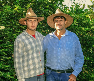 Coagrosol Cooperativa
