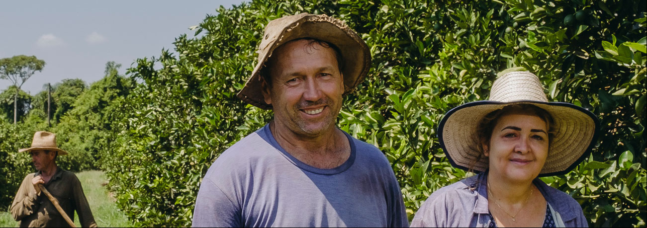 Coagrosol