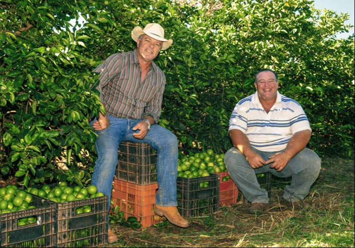 Coagrosol Exportação